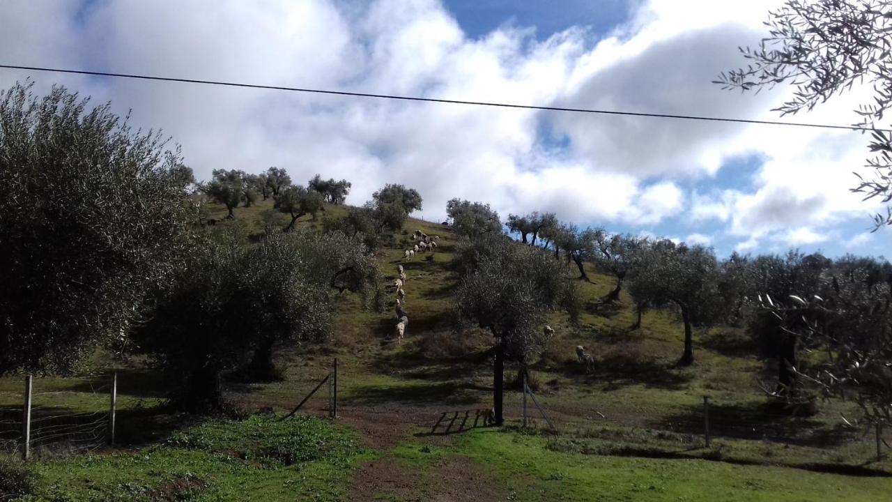 Finca La Carnicera Constantina Exterior photo
