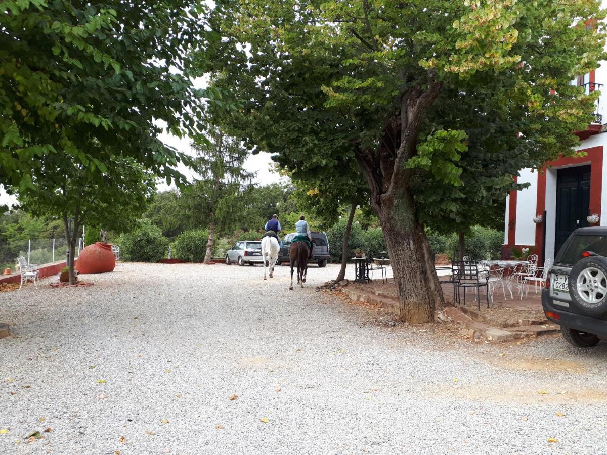 Finca La Carnicera Constantina Exterior photo